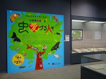 150710西尾市岩瀬文庫③、企画展「虫愛ずる人々」 (コピー).JPG