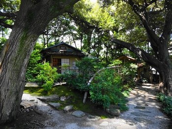 150818爲三郎記念館⑦、庭園（椎の大木と知足庵） (コピー).JPG