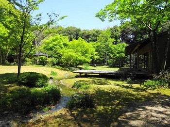 160419浜松市茶室「松韻亭」⑫、日本庭園 (コピー).JPG