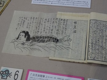 160525西尾市岩瀬文庫⑨、姫魚 (コピー).JPG