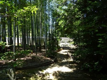 160602臨済寺⑤、庭園 (コピー).JPG