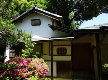 160602臨済寺⑧ (コピー).JPG
