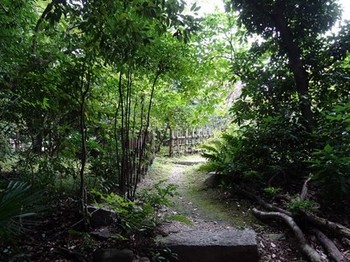 161014東山荘⑱、茶花園方向 (コピー).JPG