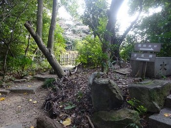 170113東山荘⑬、園路 (コピー).JPG