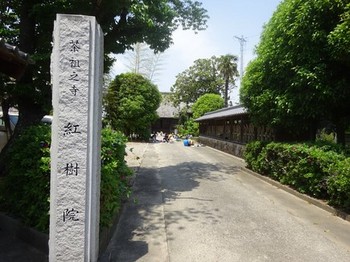 170511西尾の抹茶めぐり30、茶祖之寺「紅樹院」 (コピー).JPG