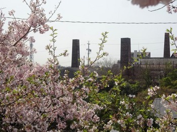 s_190407とこなめ歩き07、光明寺境内から見る煙突.JPG